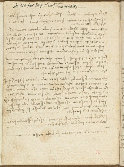 Codice del volo degli uccelli, c. 1505-06, manoscritto su carta, cc. 18, Copertina II da Leonardo da Vinci